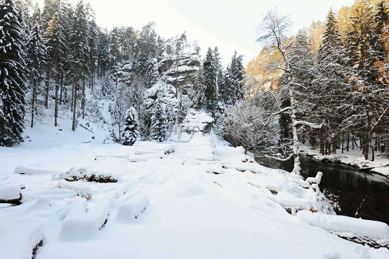 Winter landscape with snow in the Czech Switzerland