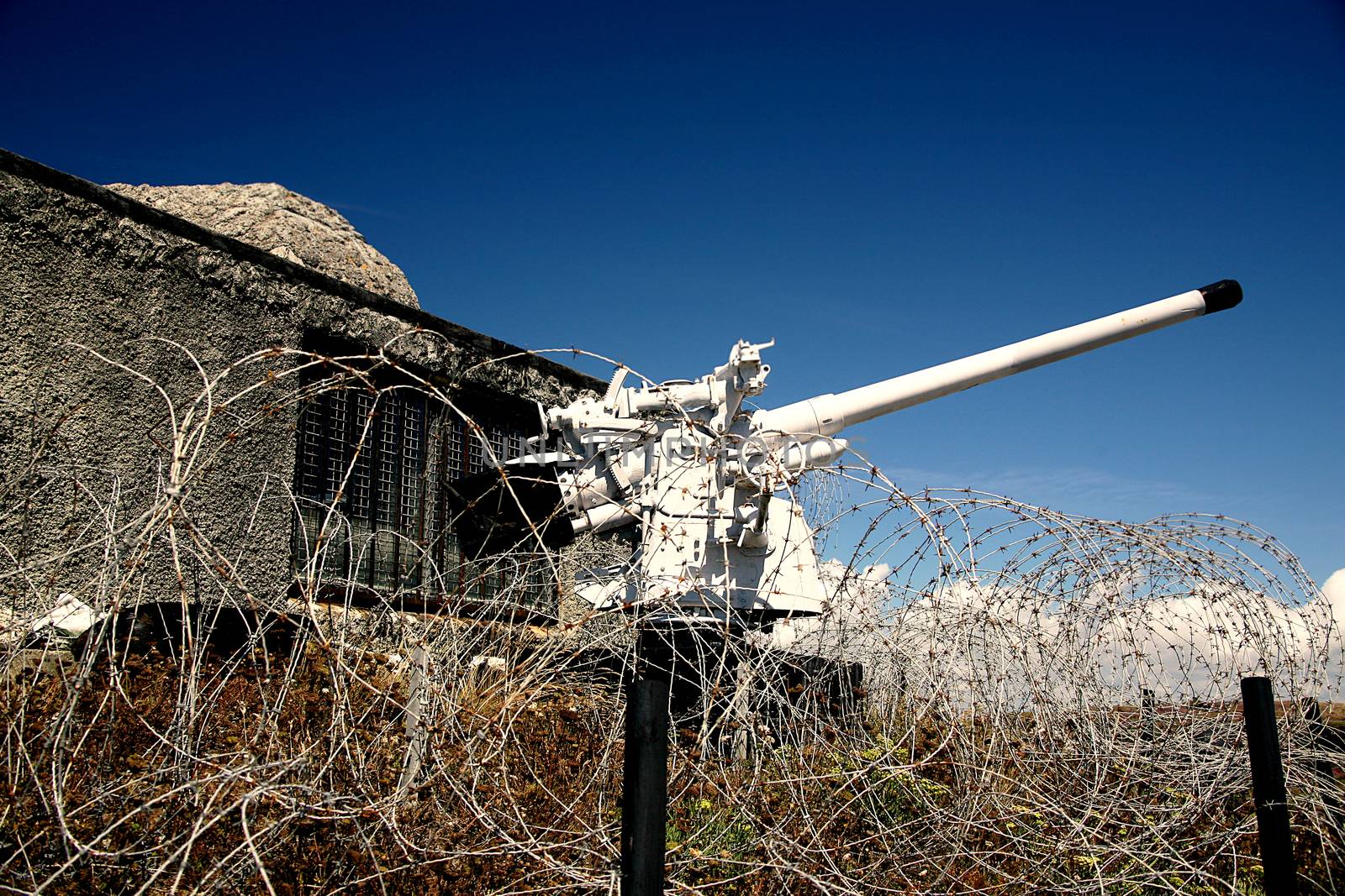 an Old World War II cannon