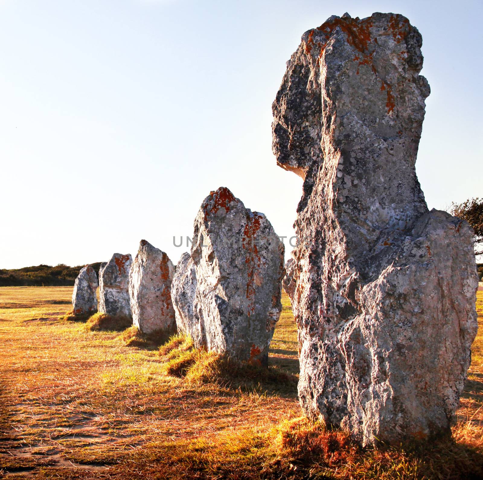 Megaliths prehistoric menhirs in French territory