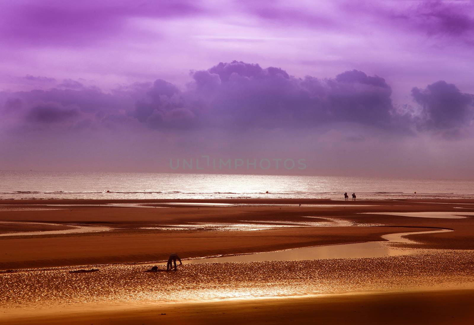 Horseback riding on the beach at sunset