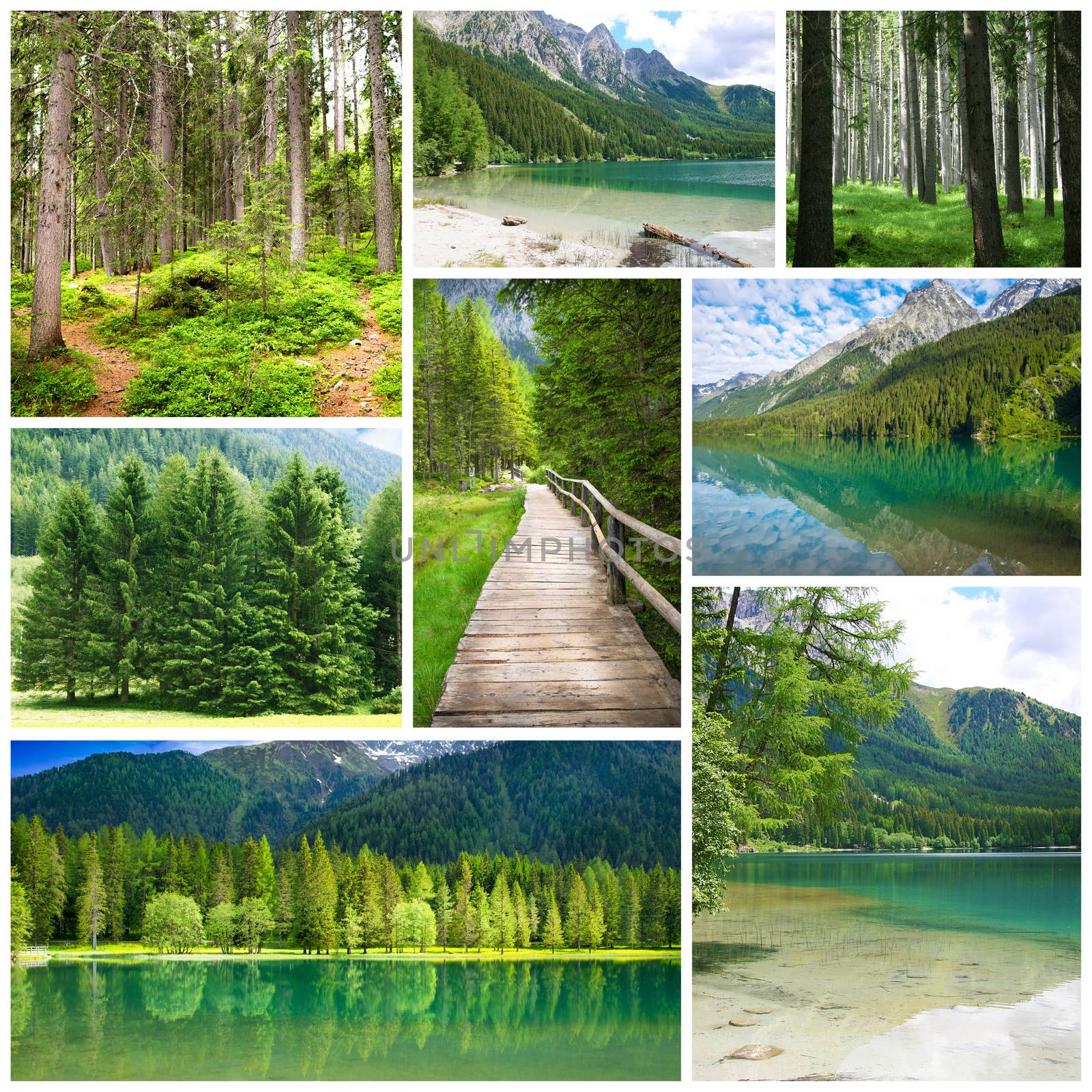 beautiful south tyrol panorama collage