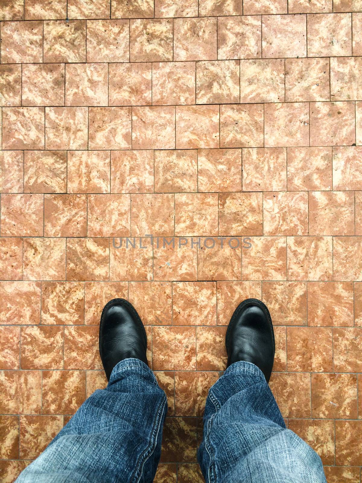 standing on a floor of brown tiles