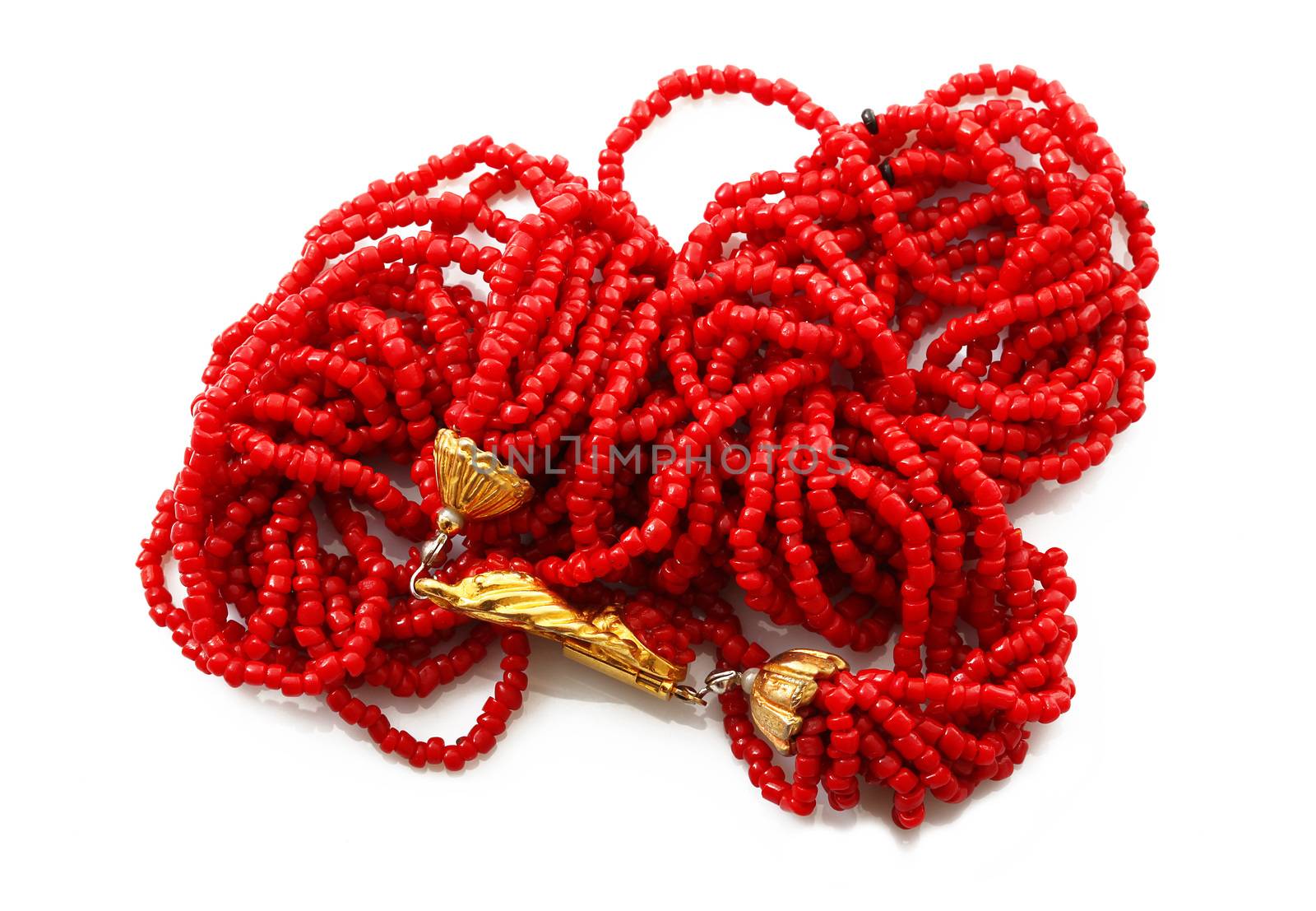 red coral Necklace on white background