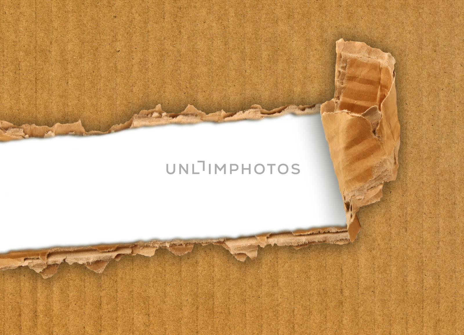 a torn cardboard for writer project