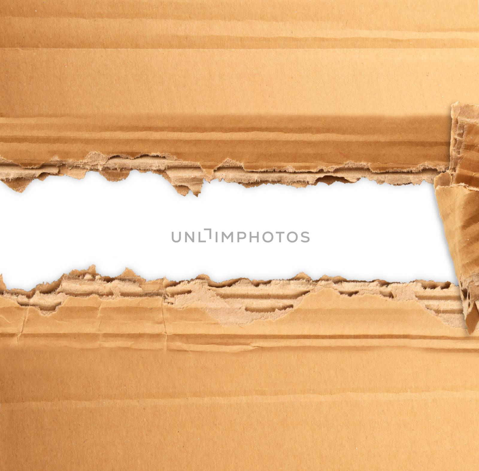 a torn cardboard for writer project
