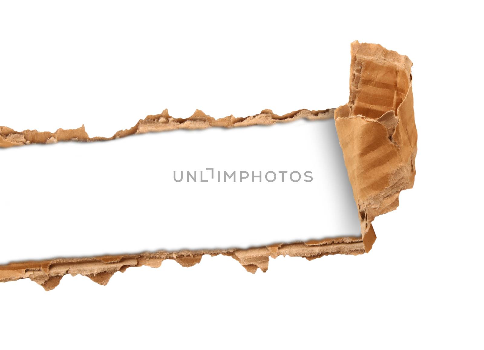 torn cardboard on white background