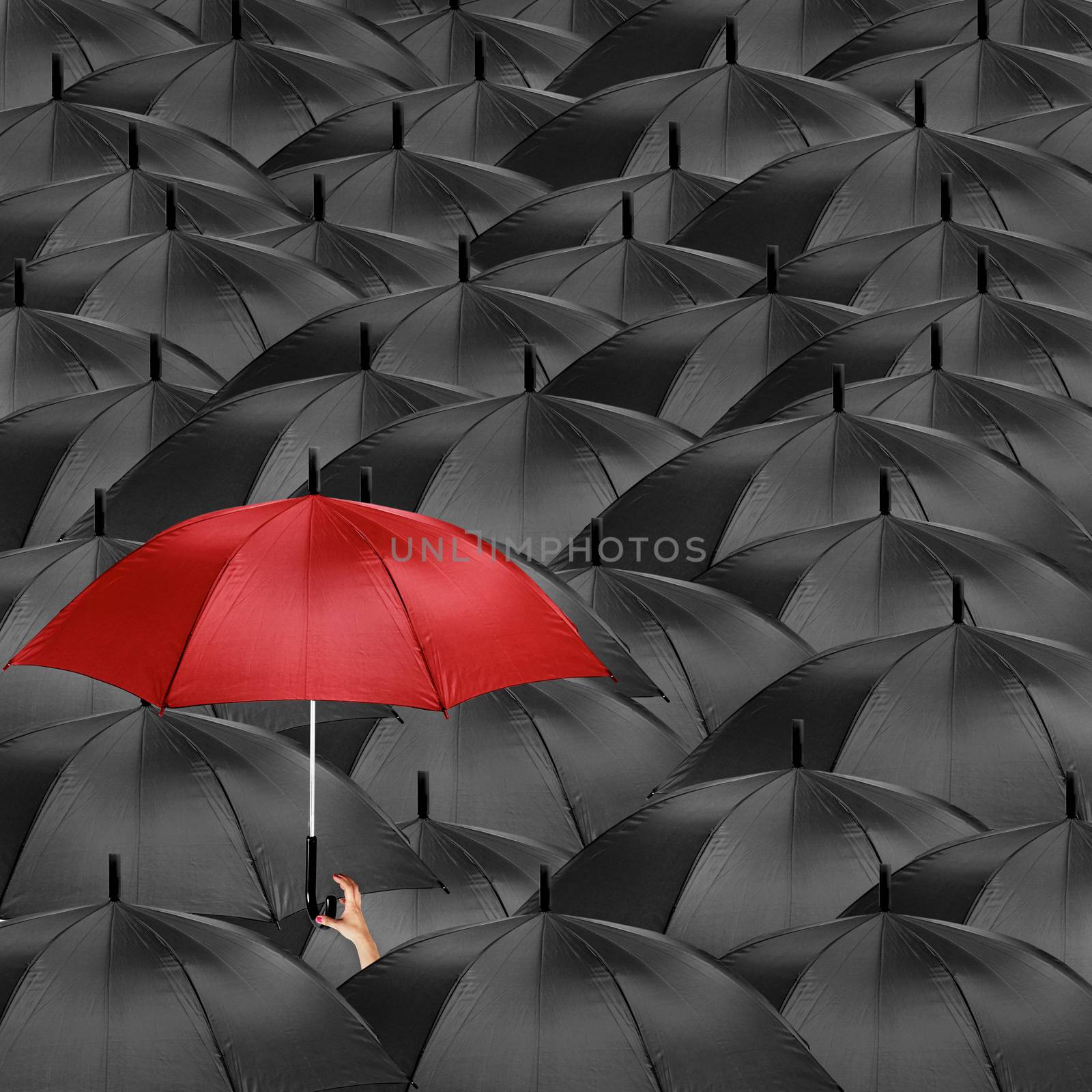 A red umbrella in the midst of many black umbrellas