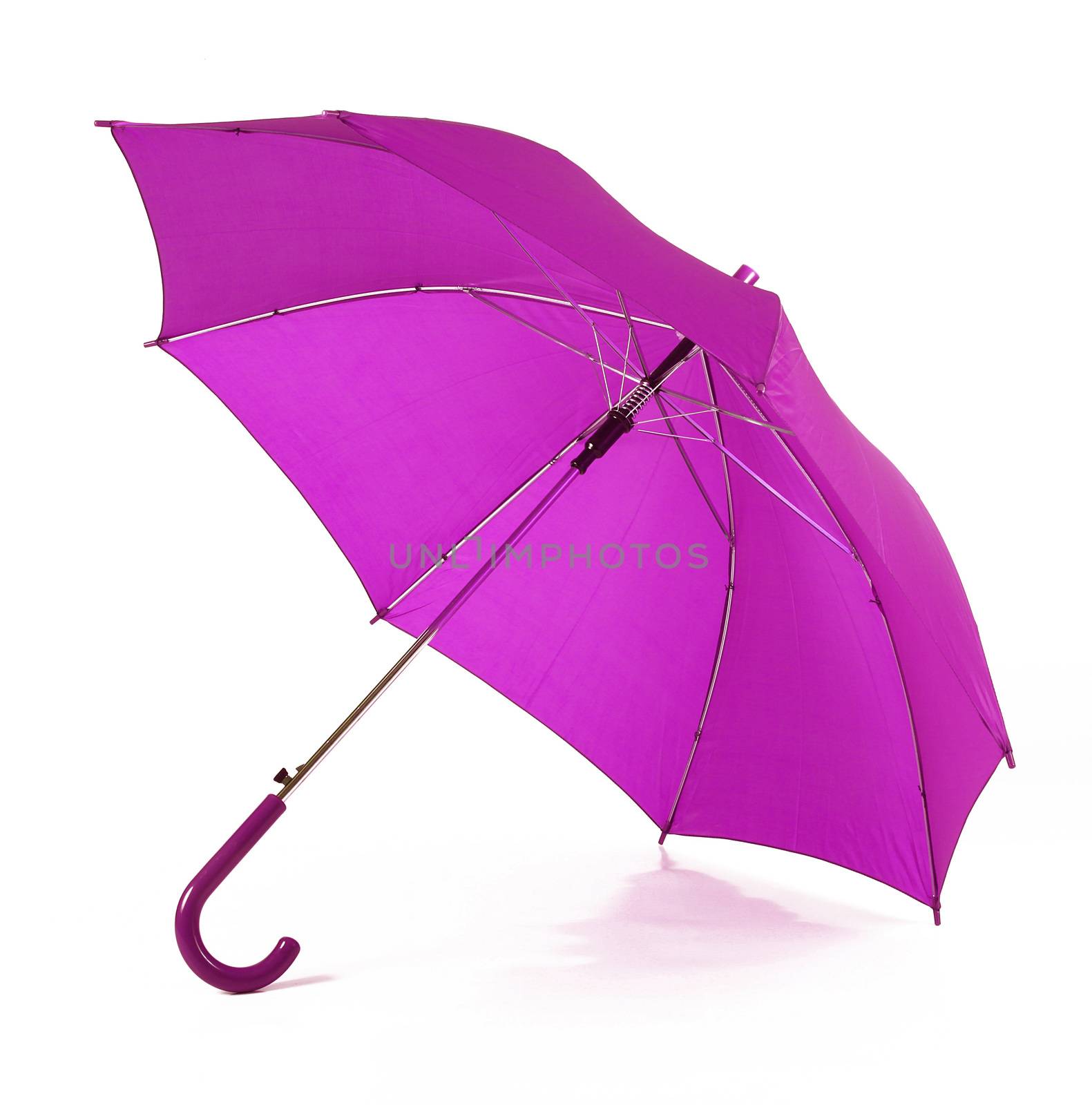 isolated purple umbrella in white background by photobeps