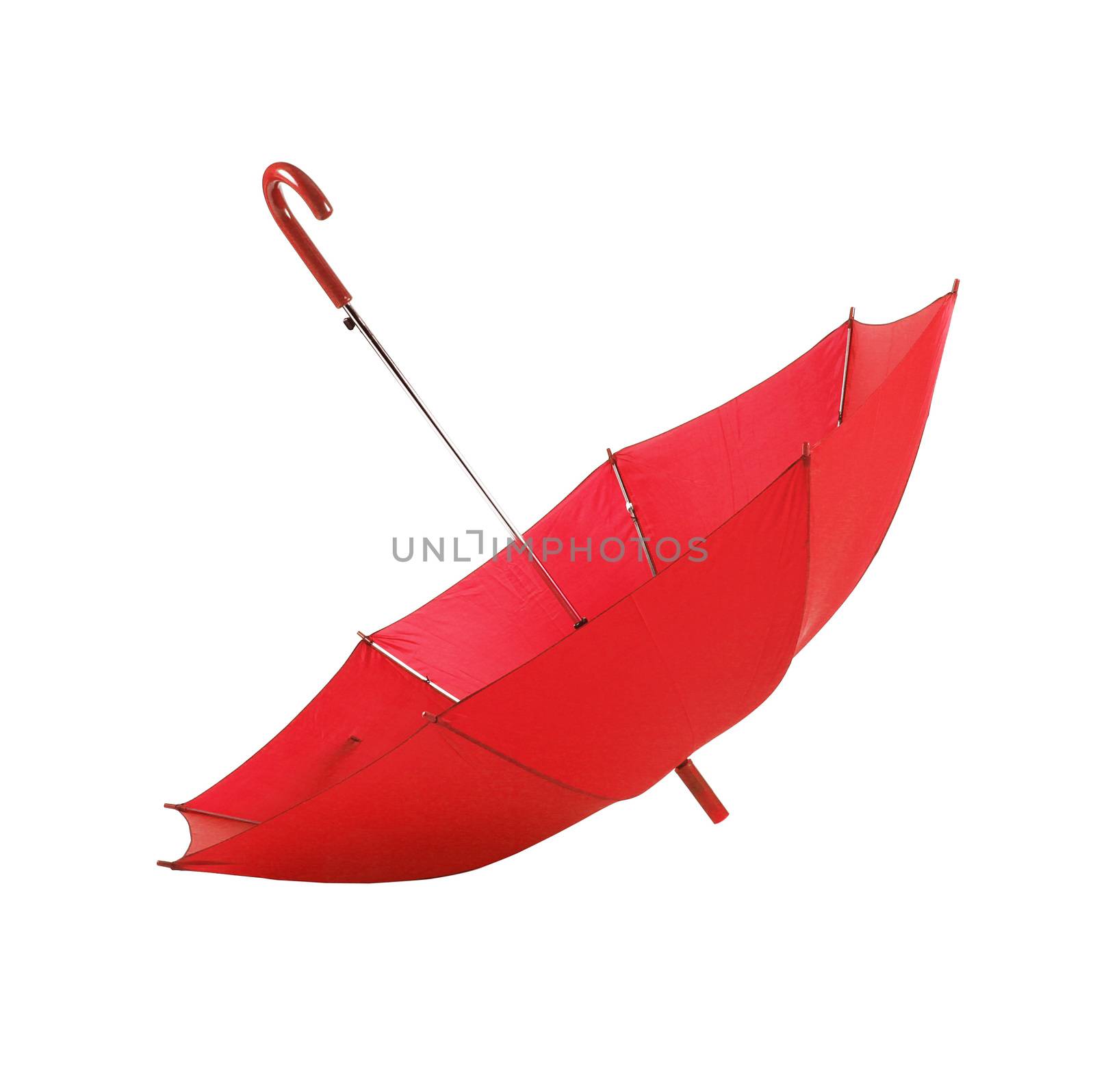 isolated red umbrella in white background by photobeps