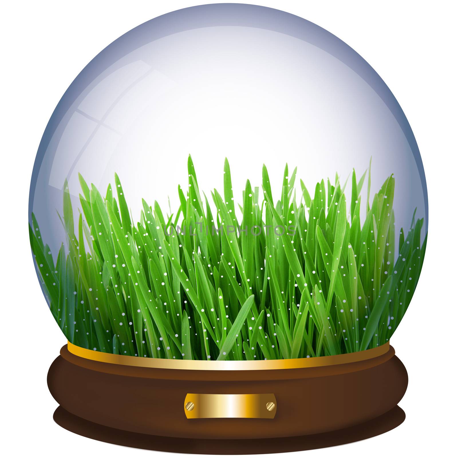 crystall ball with grass on white background