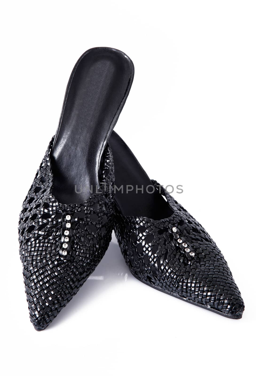 elegant female shoes on white background