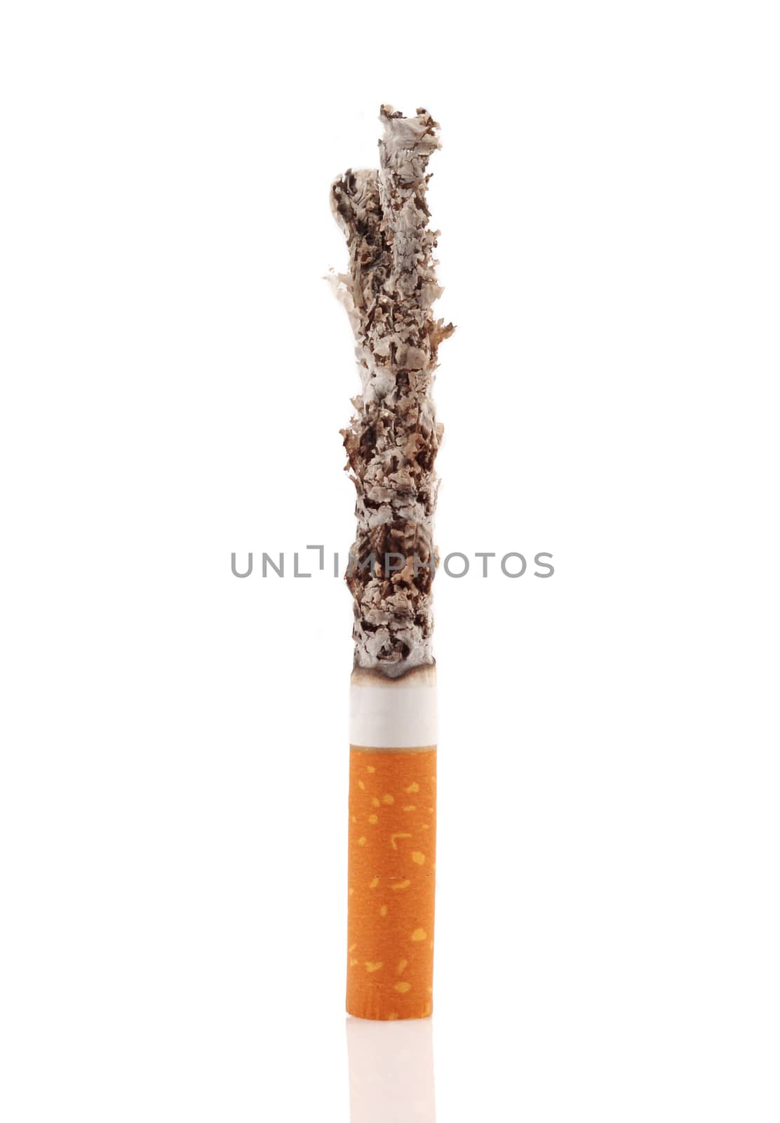 isolated cigarette on white background