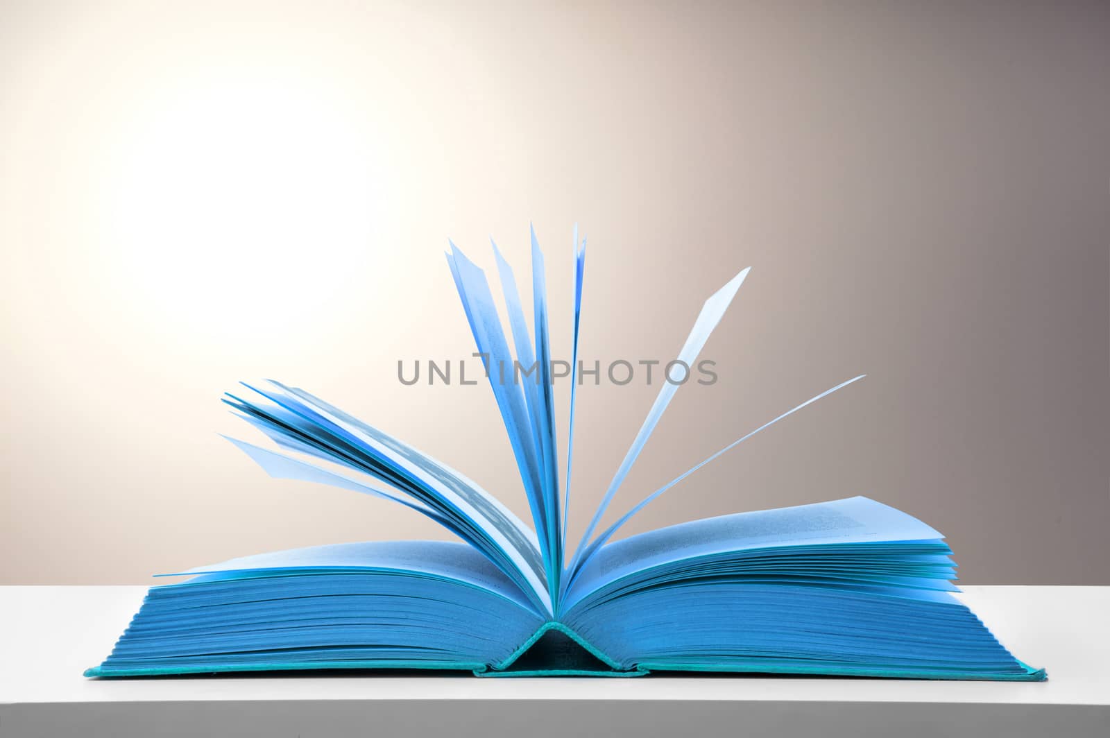 blue open book on the table