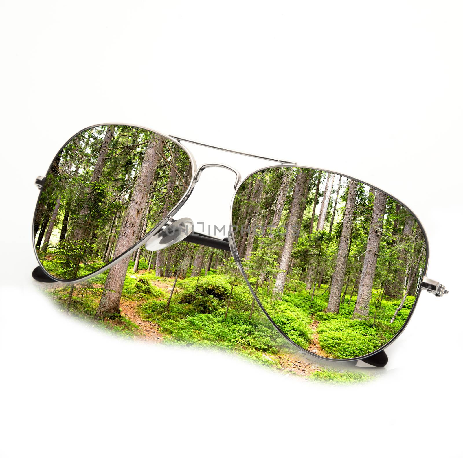 isolated forest sunglasses in white background by photobeps