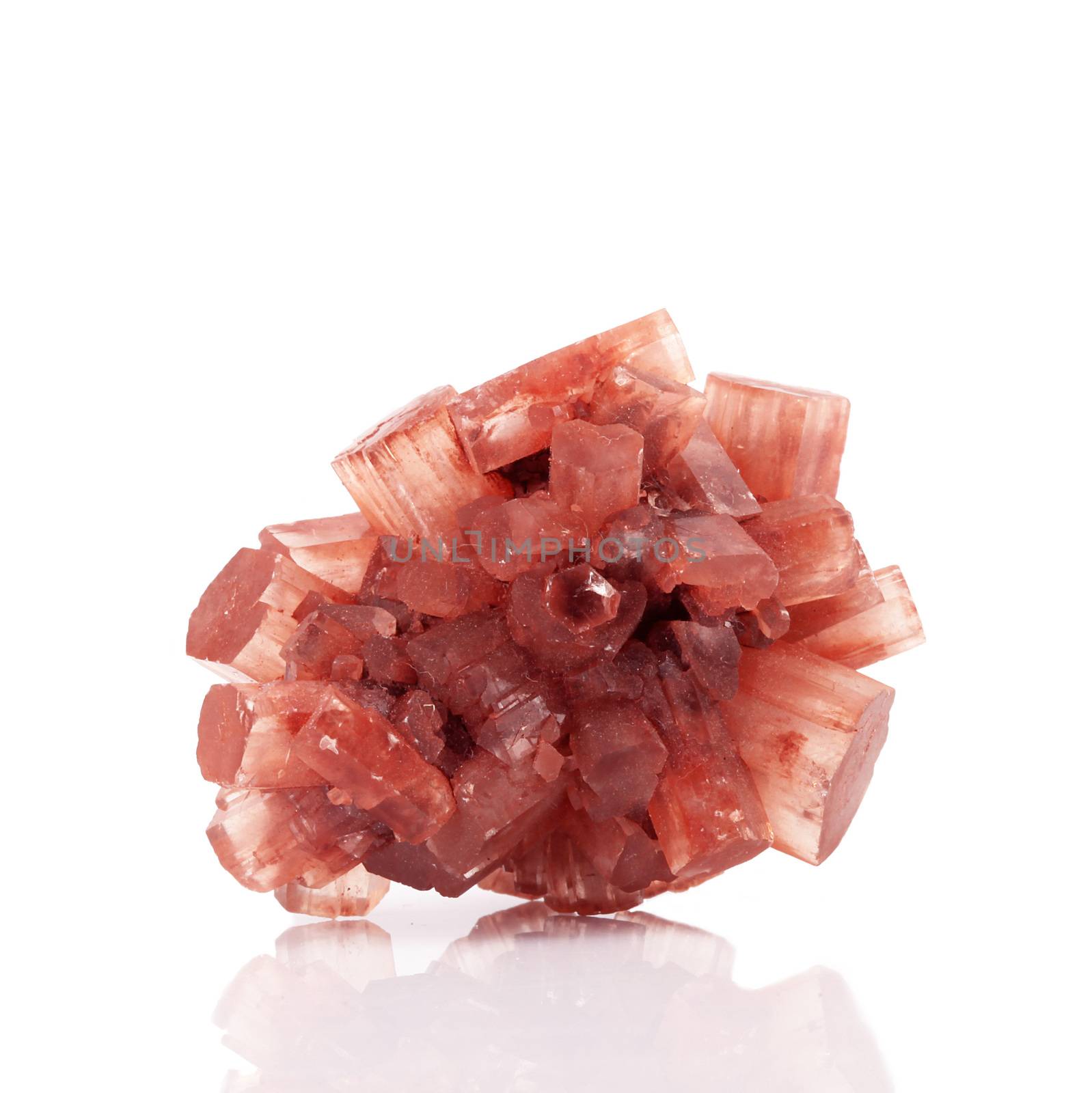 isolated aragonite crystals on white background