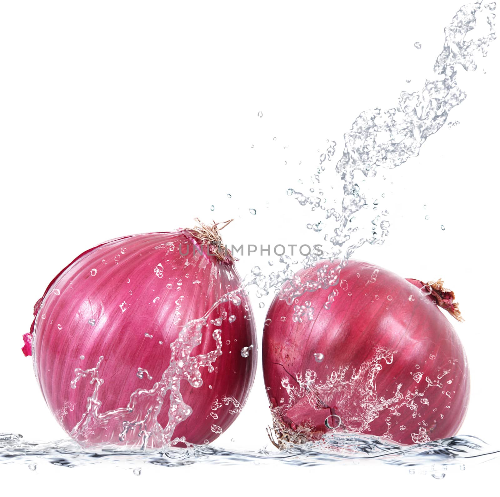 fresh onions falling in pure water