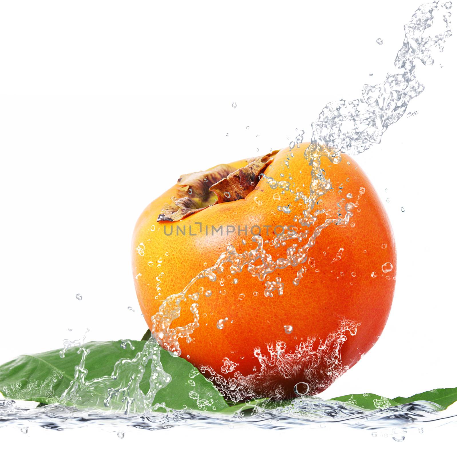 fresh caco falling in water