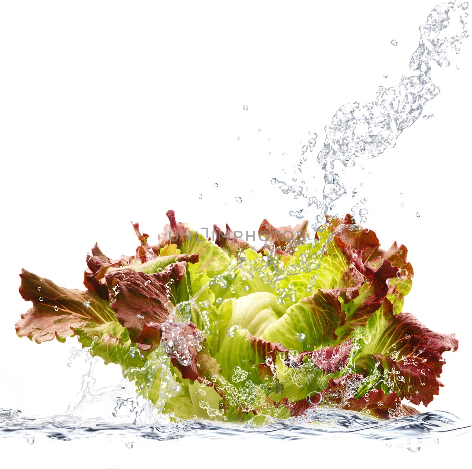 fresh salade falling in pure water