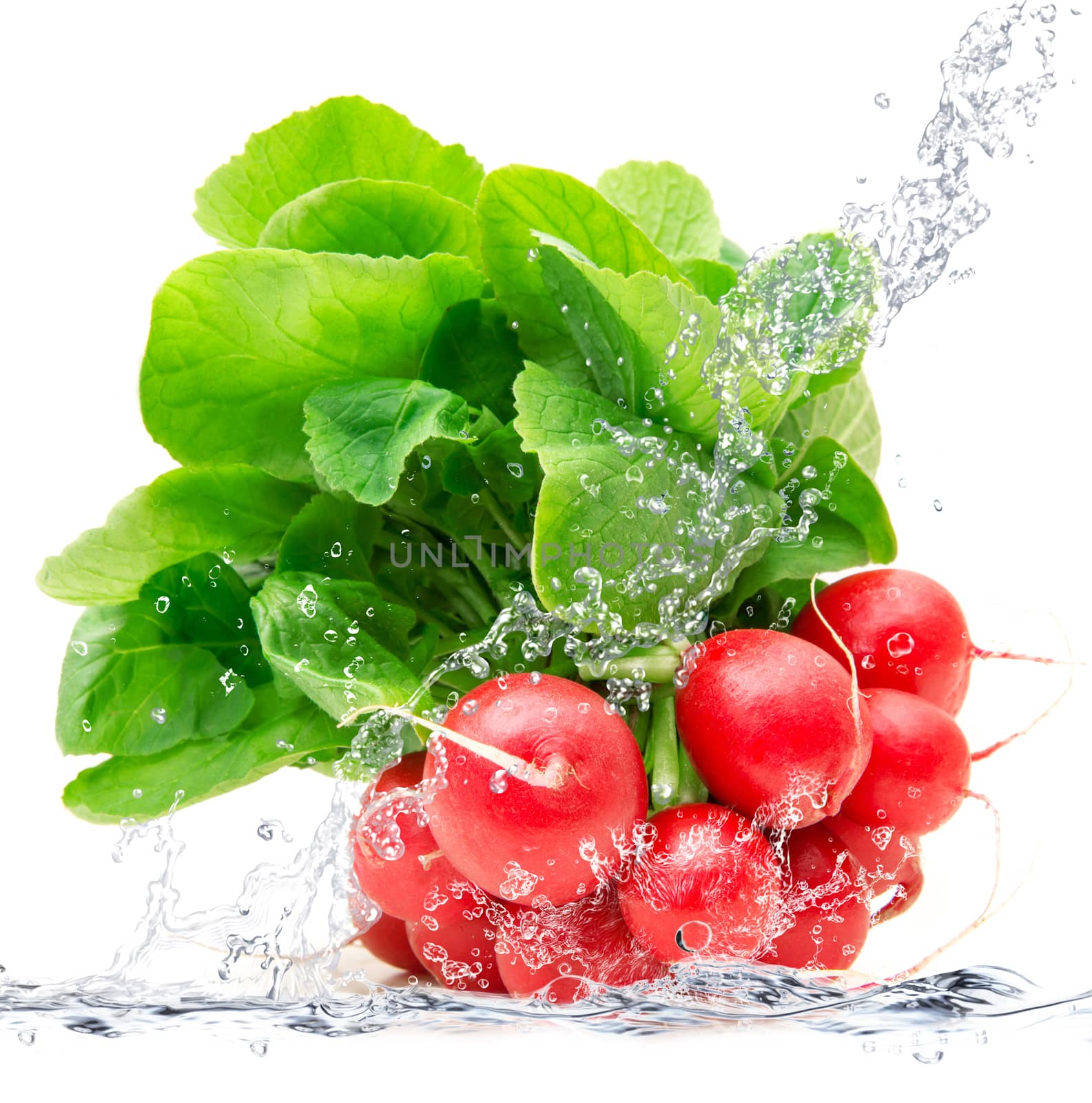 fresh radishes falling in pure water
