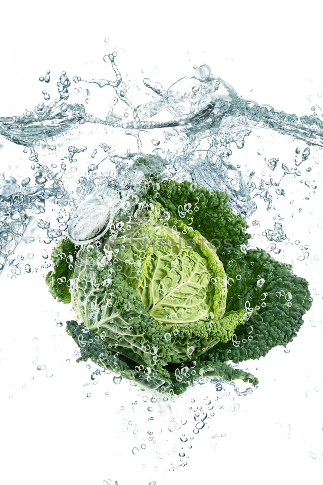 Fresh savoy cabbage falling in water
