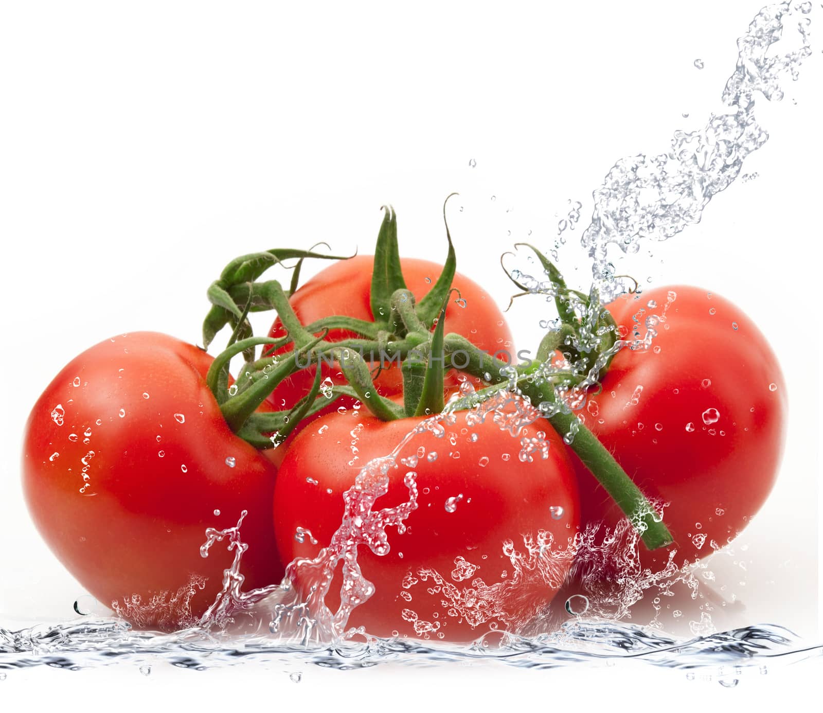 fresh tomatoes falling in pure water
