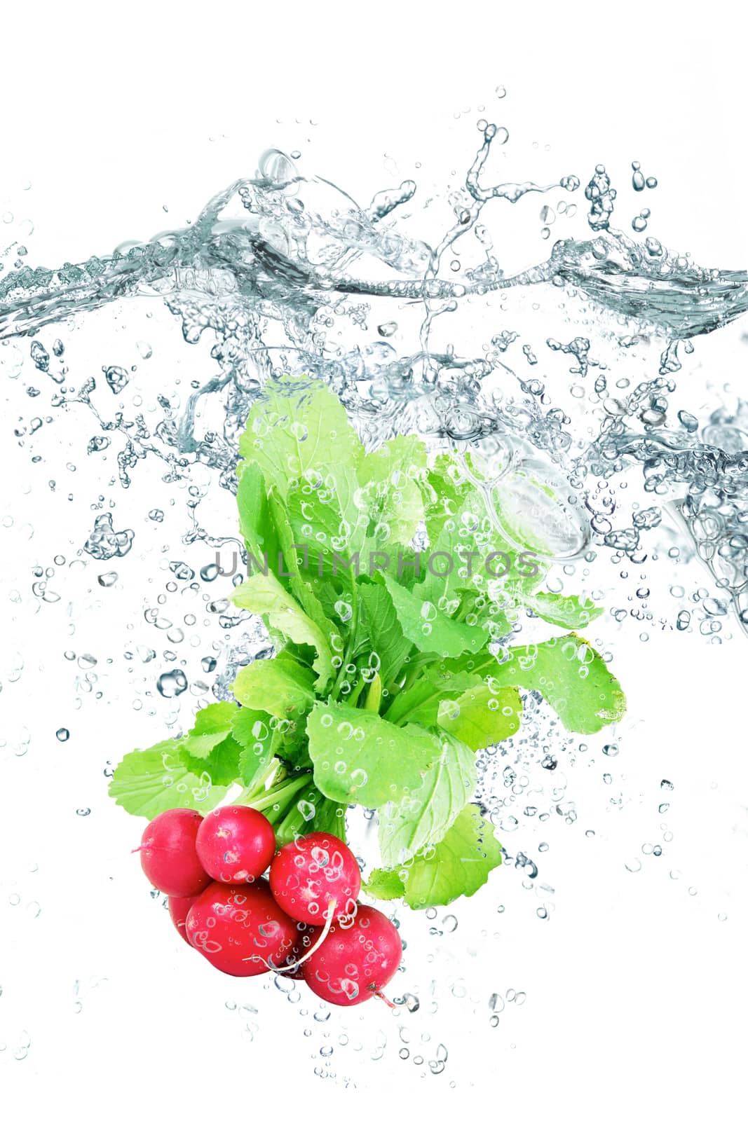 fresh radishes falling in pure water