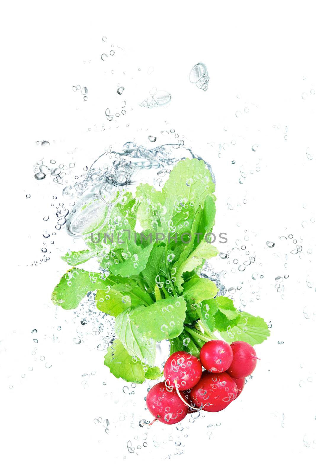 fresh radishes falling in pure water
