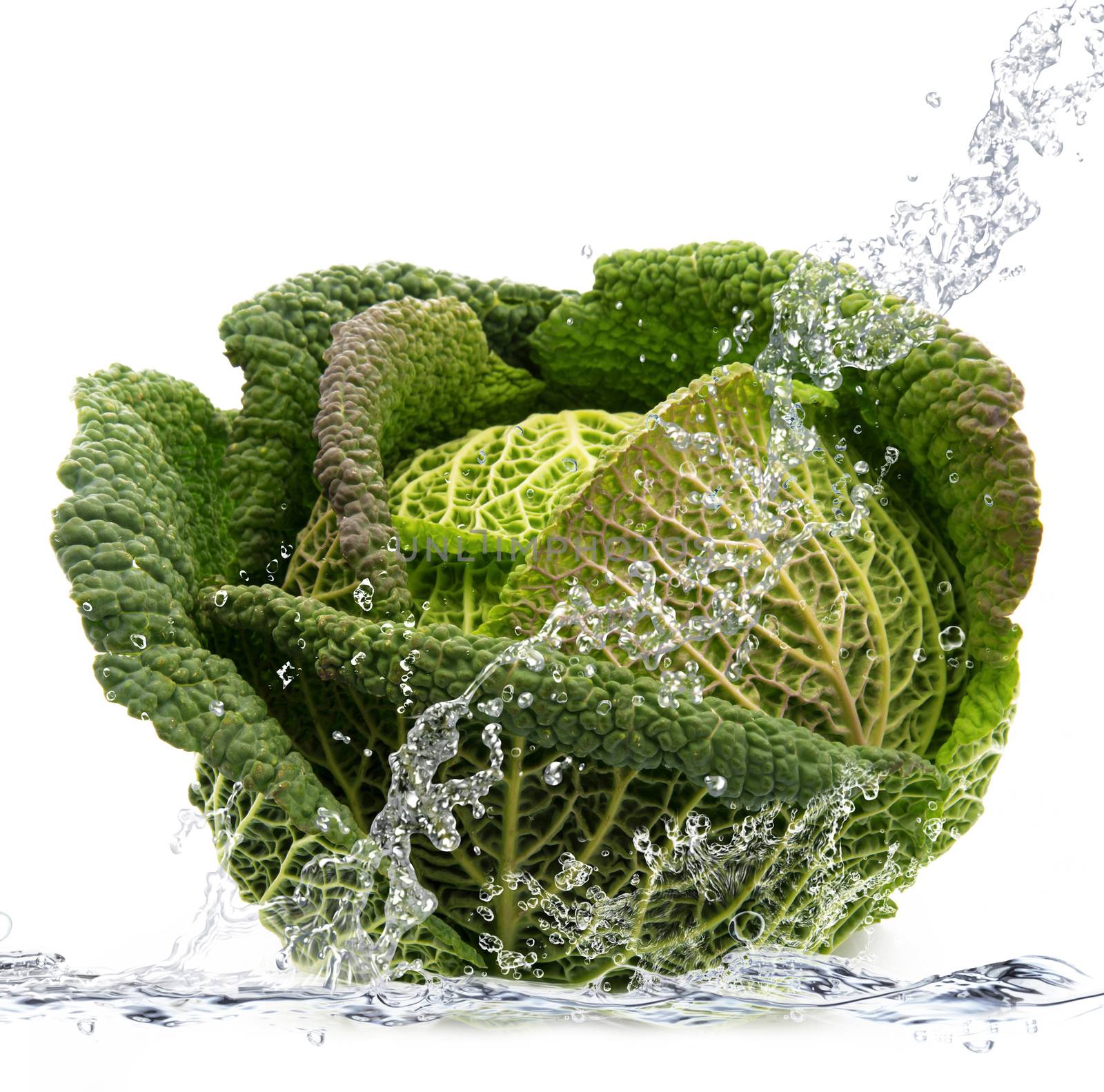 Fresh savoy cabbage falling in water