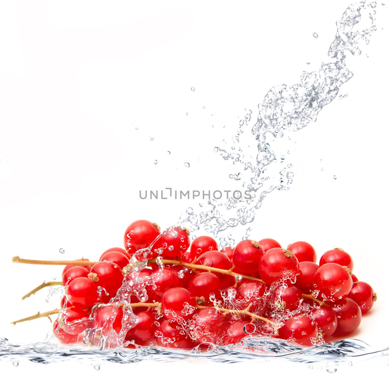 fresh ribes falling in water