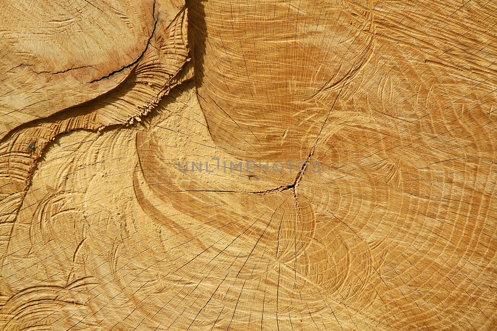 a wooden background for many applications