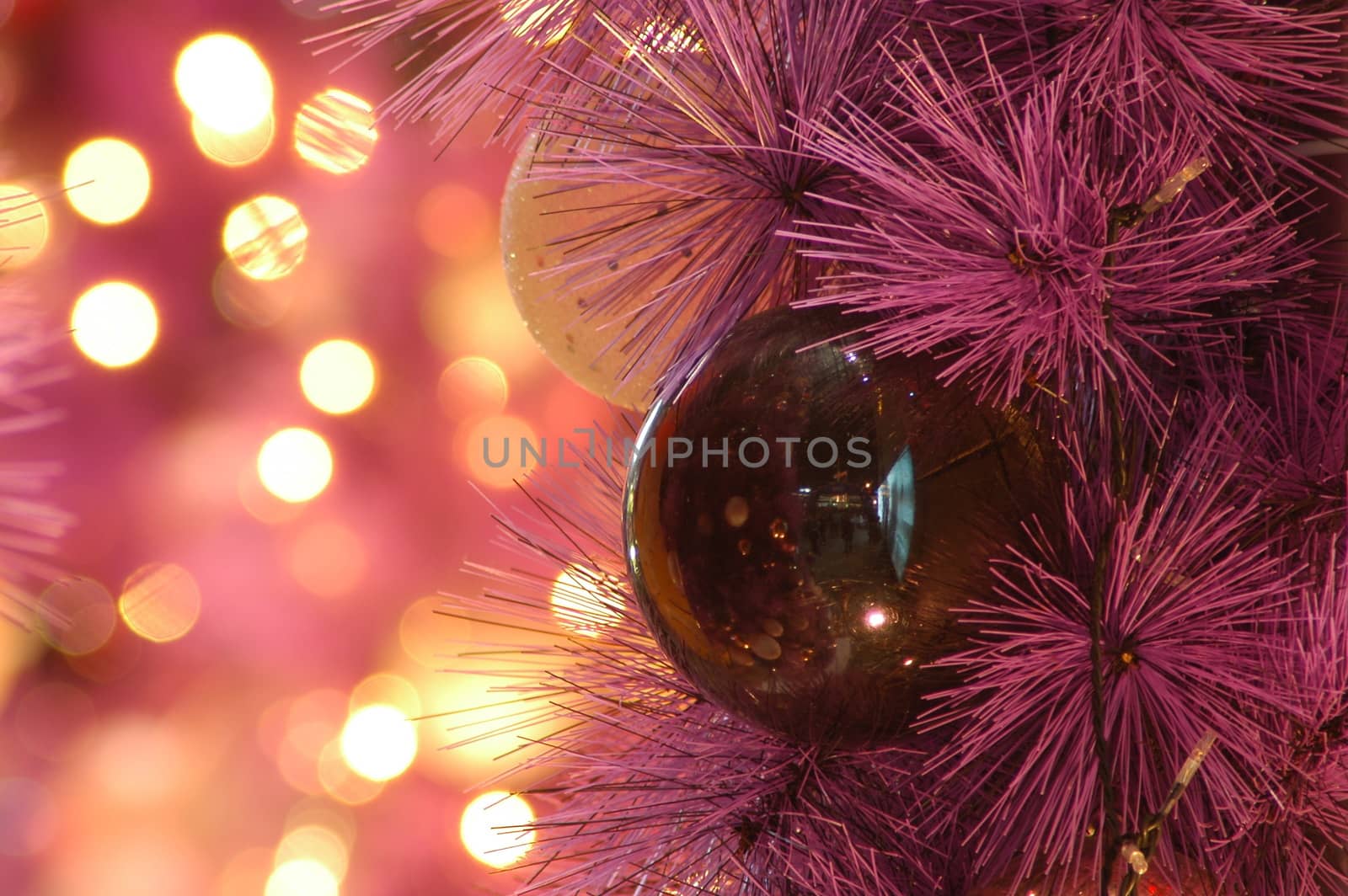 In images Shiny Christmas red ball hanging on pine branches with festive background