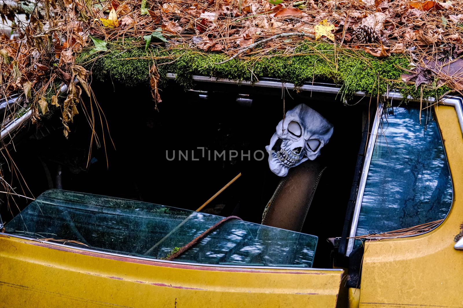 Skull Mask in Wrecked Car in a Junkyard