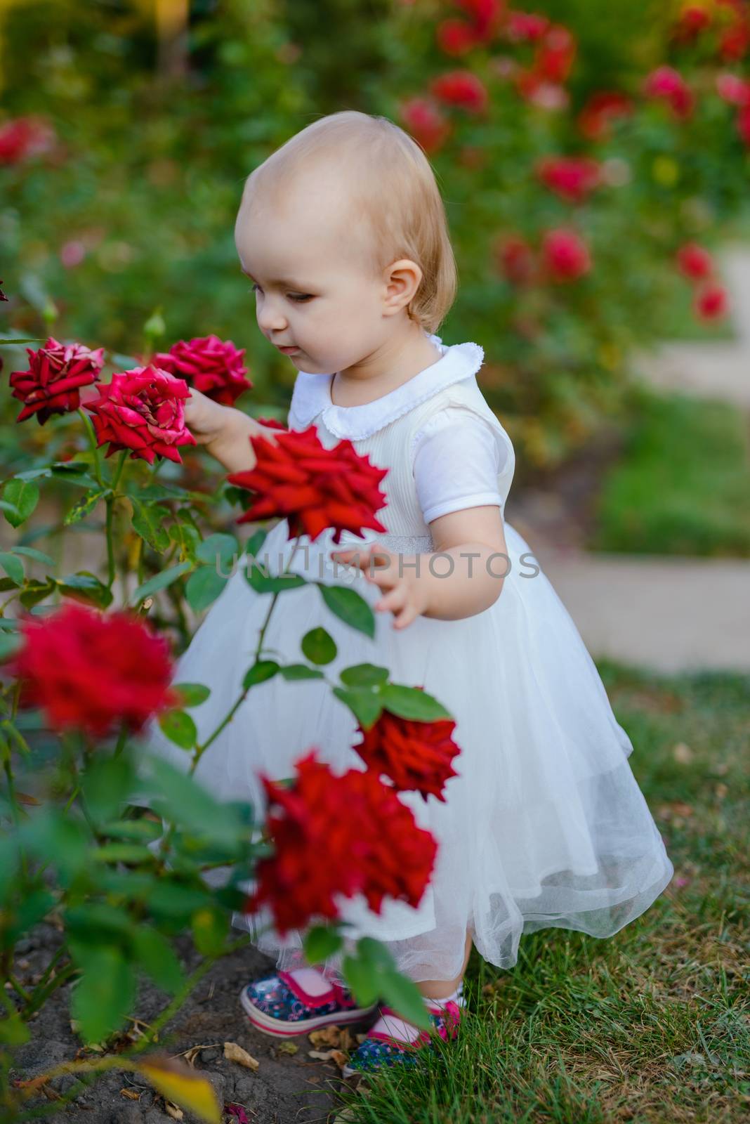 Smiling girl in the park in summer time. Authentic lifestyle image