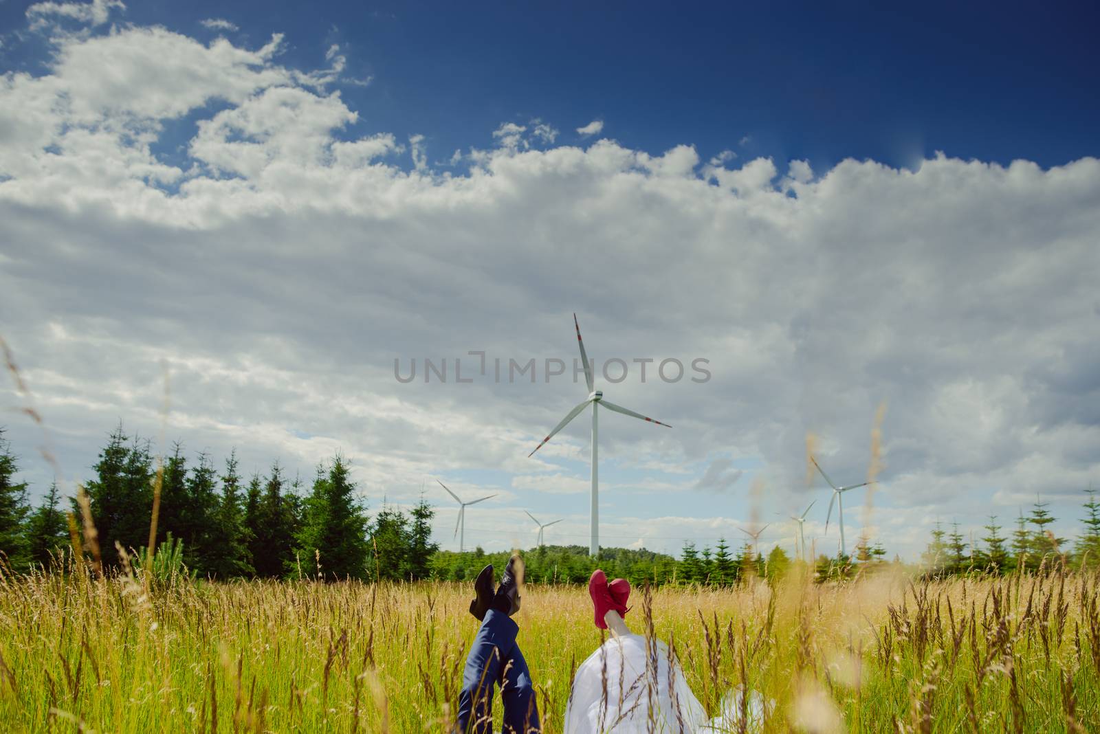 Bride and groom at a photo session in the nature.