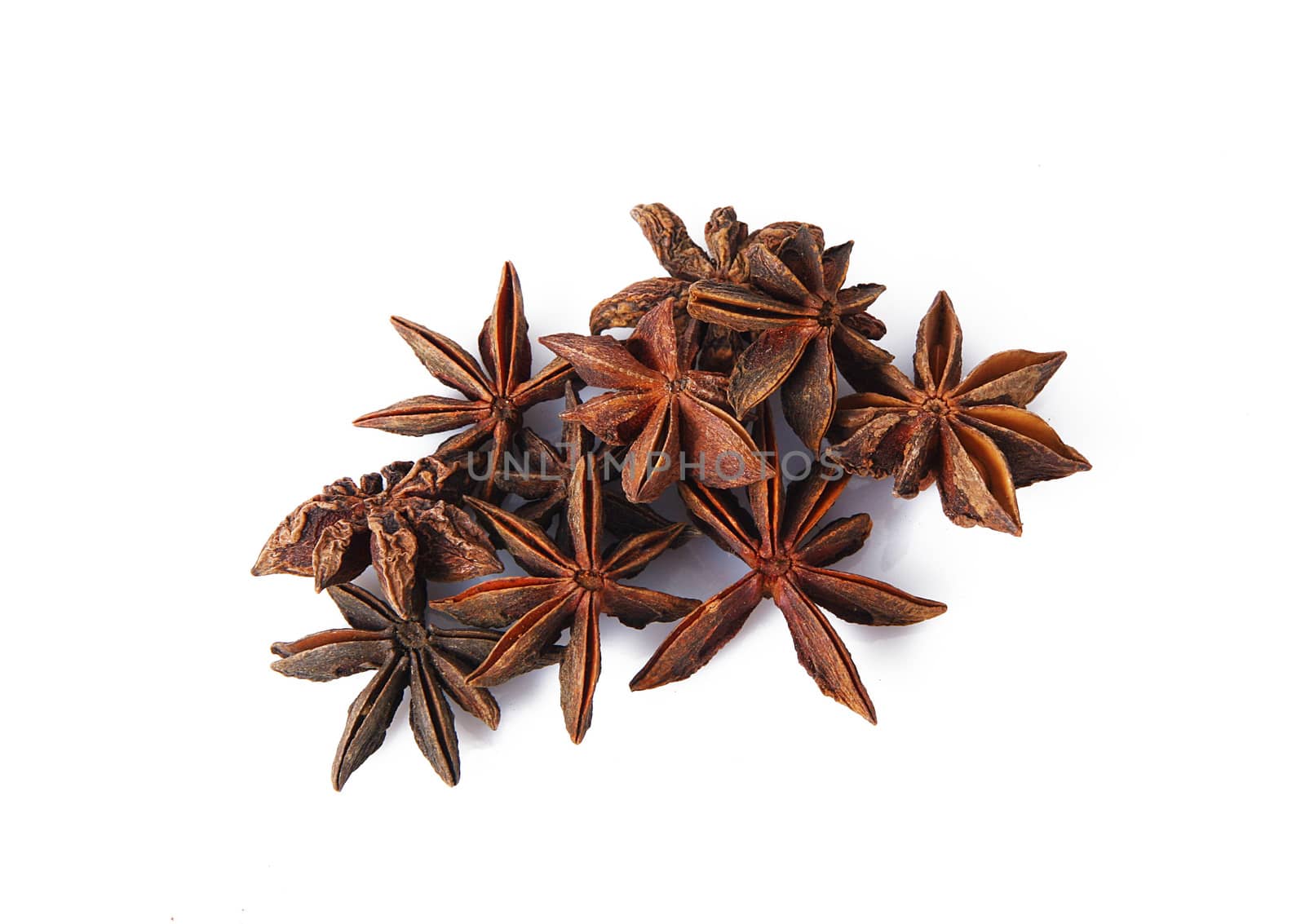 star anise on white background