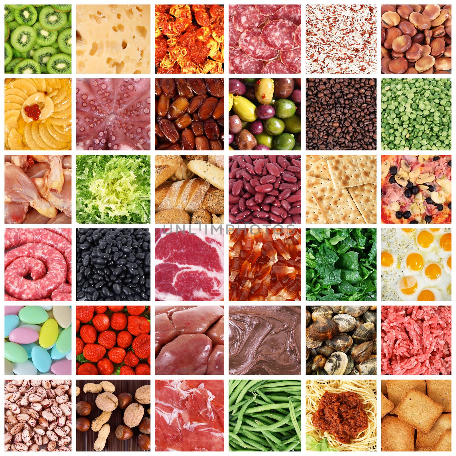 gastronomy collage on white board background