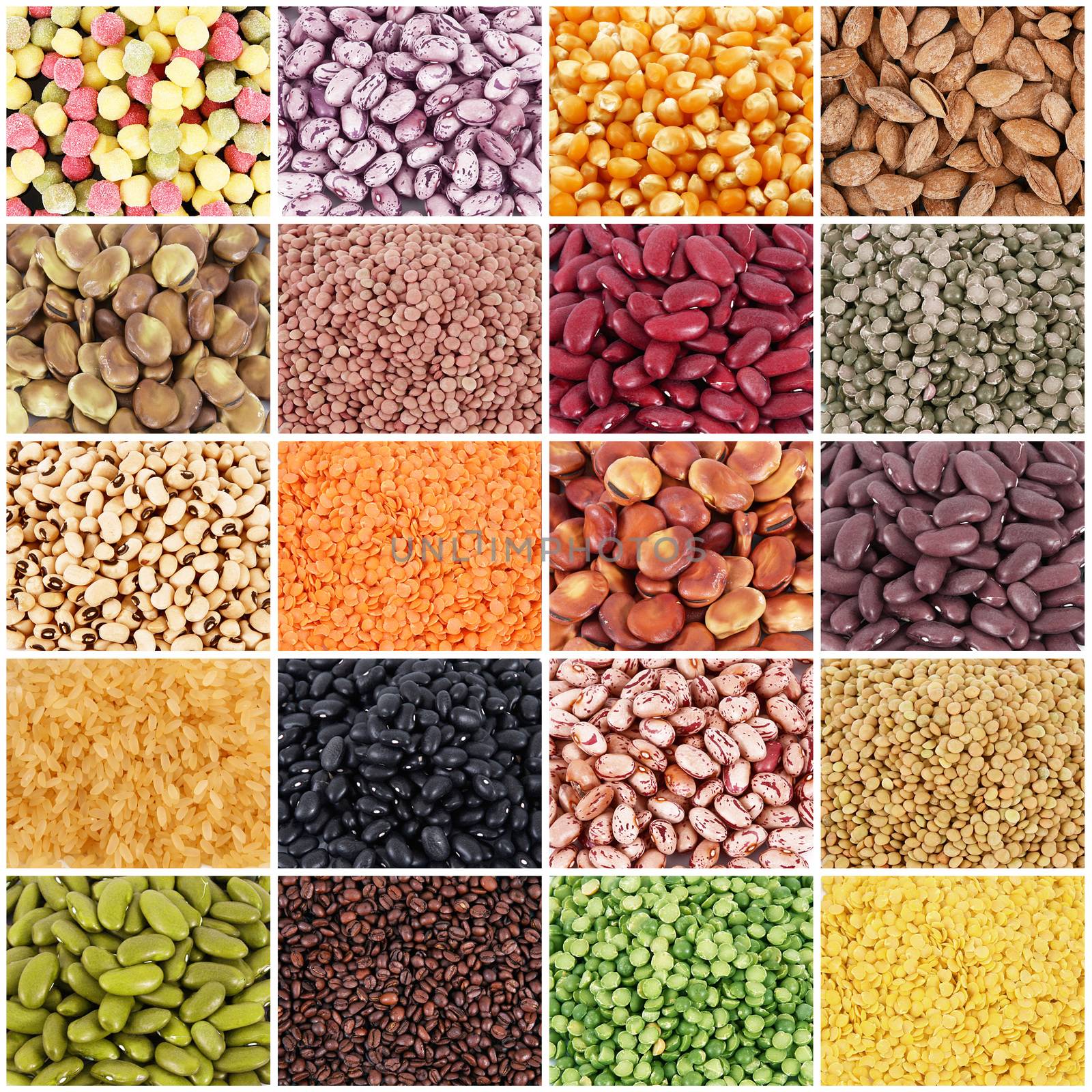 legumes collage on white board background