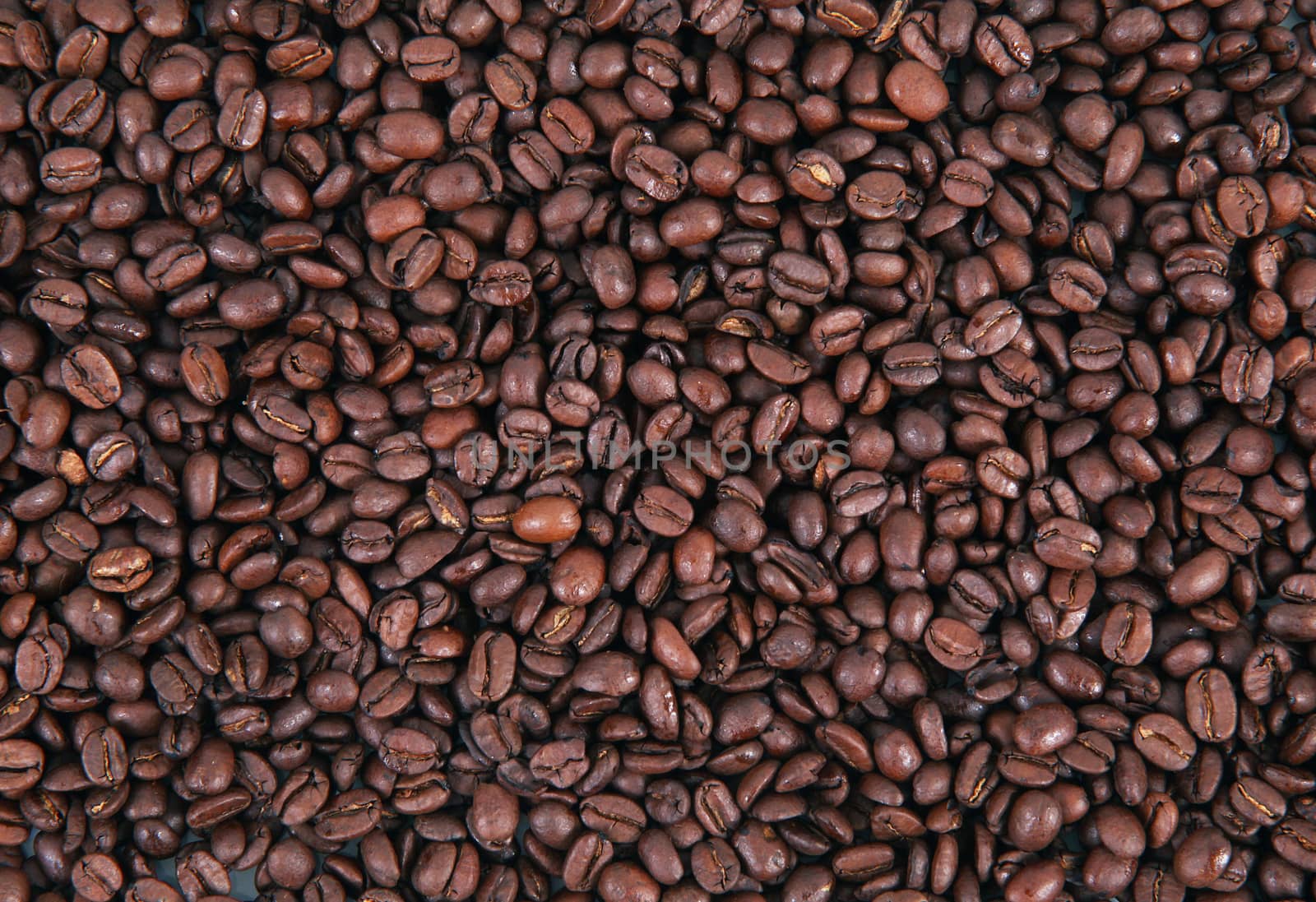 closeup of background  beans coffee