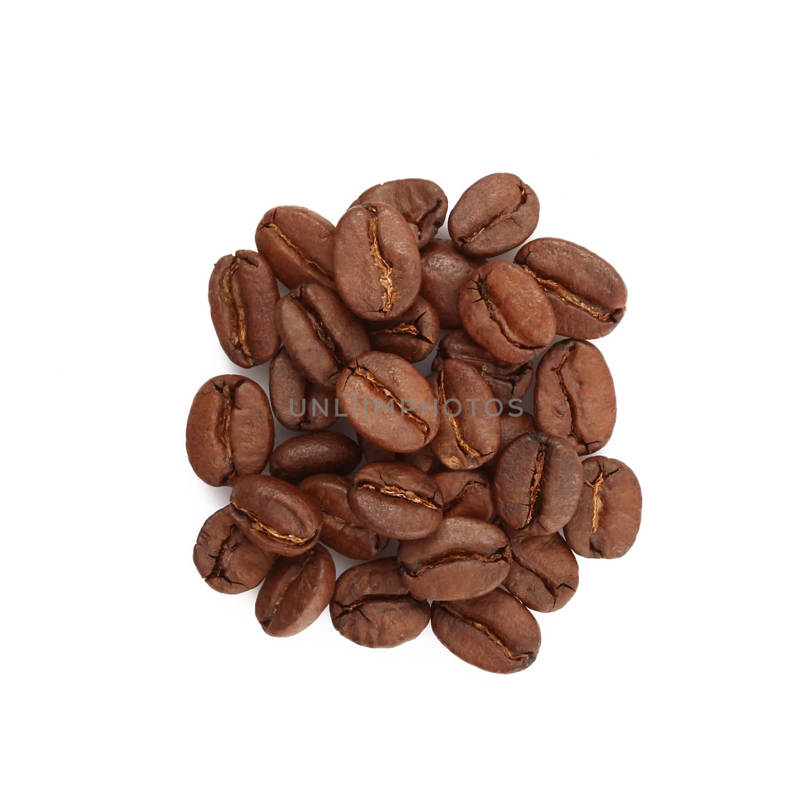 beans of coffee on white background