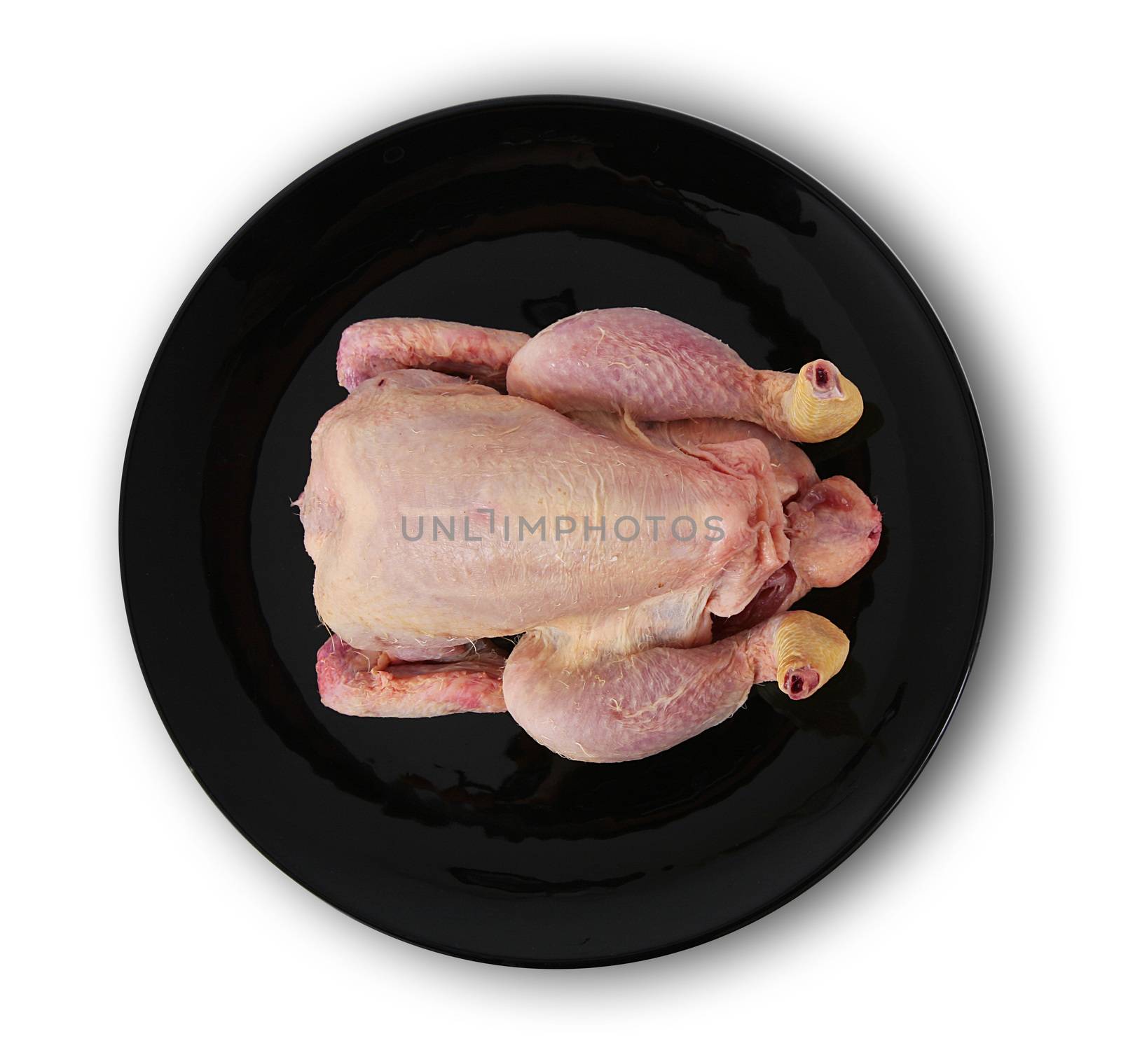 raw chicken on white background