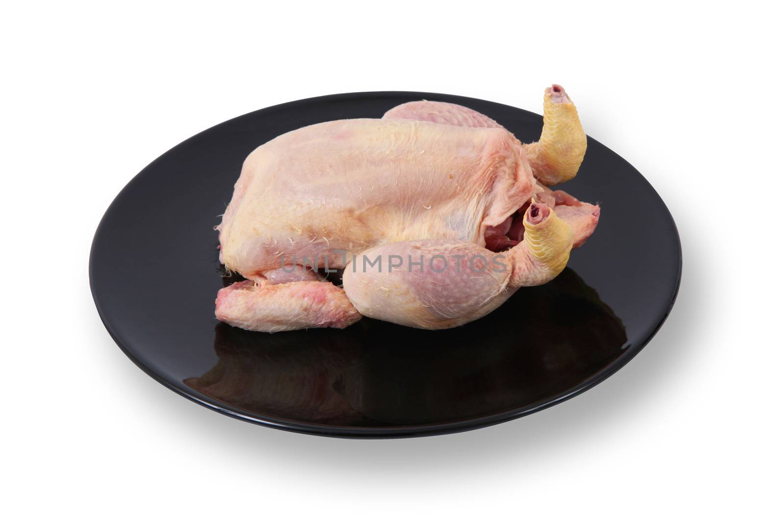 raw chicken on white background