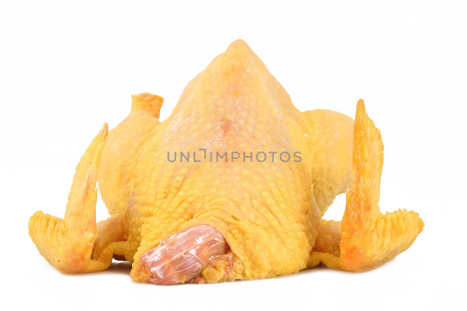 raw chicken on white background