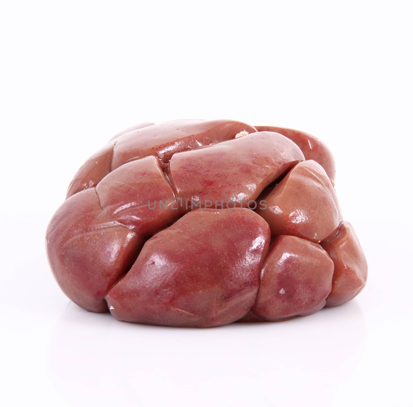 Kidney of veal on white background