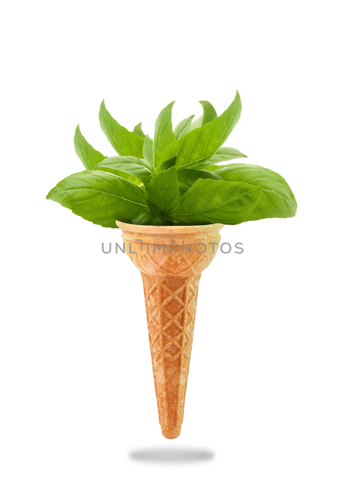 a Delicious ice cream cone with basil taste