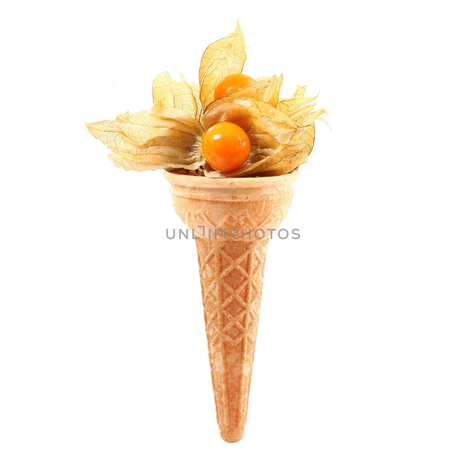 winter cherry like ice cream on white background