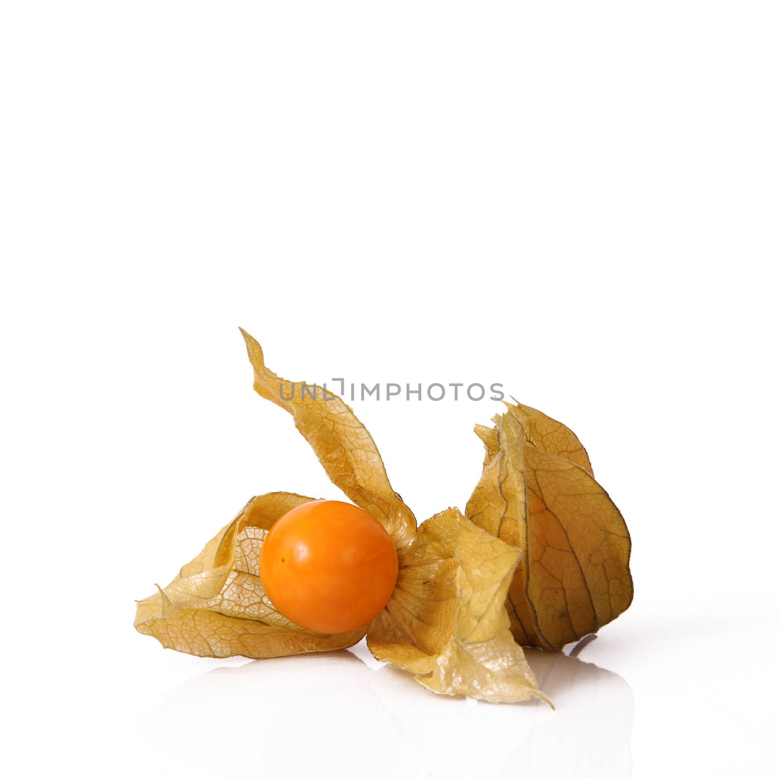winter cherry isolated on white background