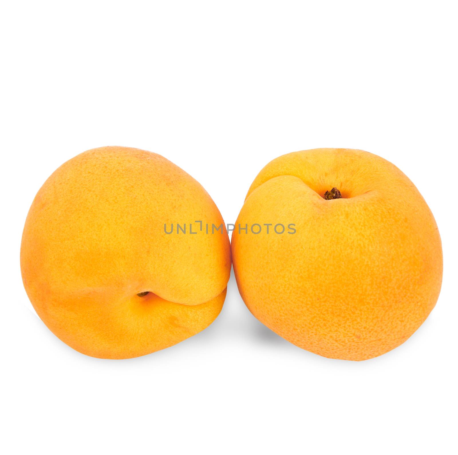 apricot fruit isolated on white background