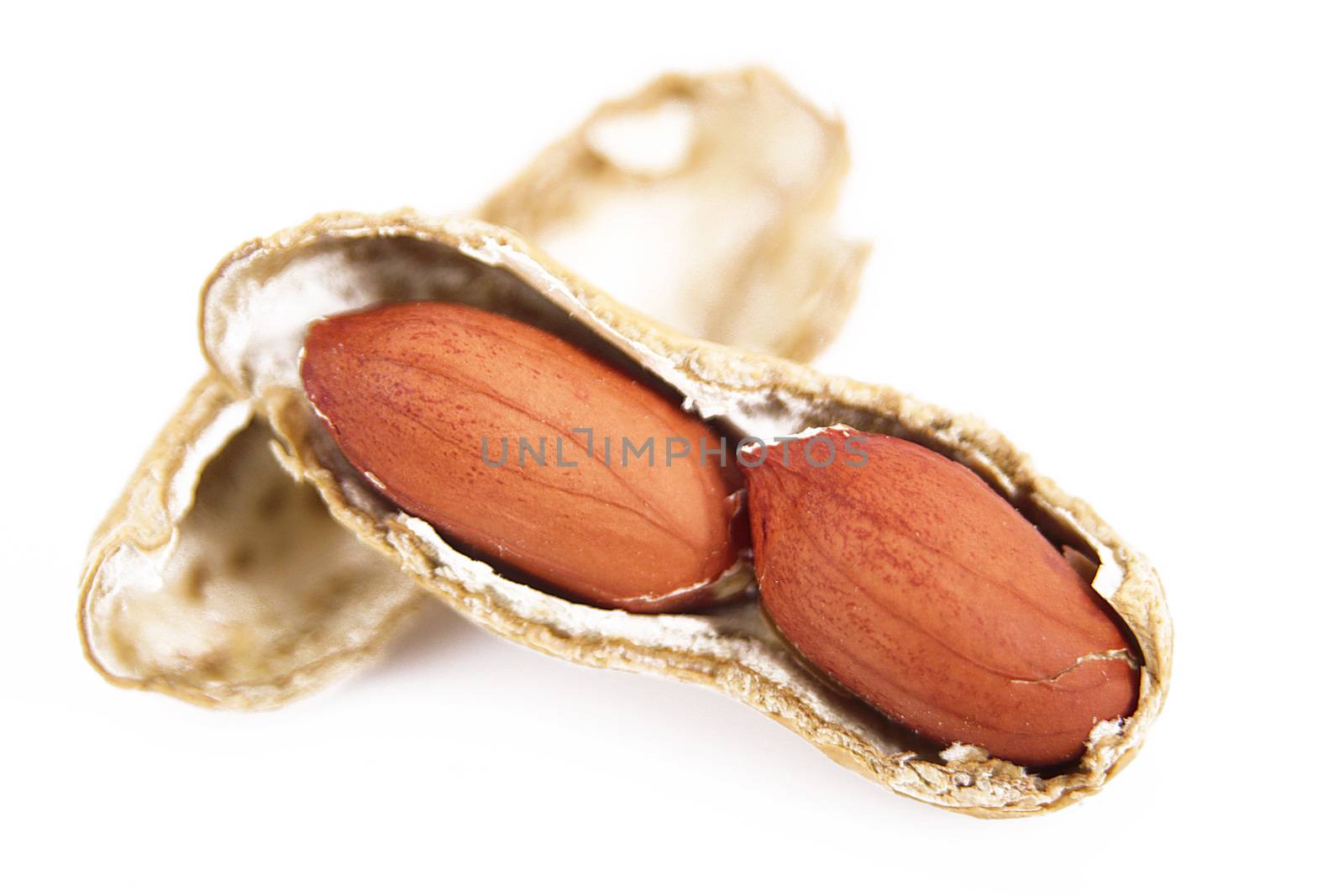 peanuts isolated on white background
