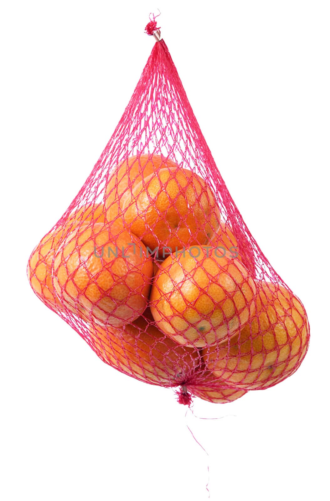 isolated orange on white background