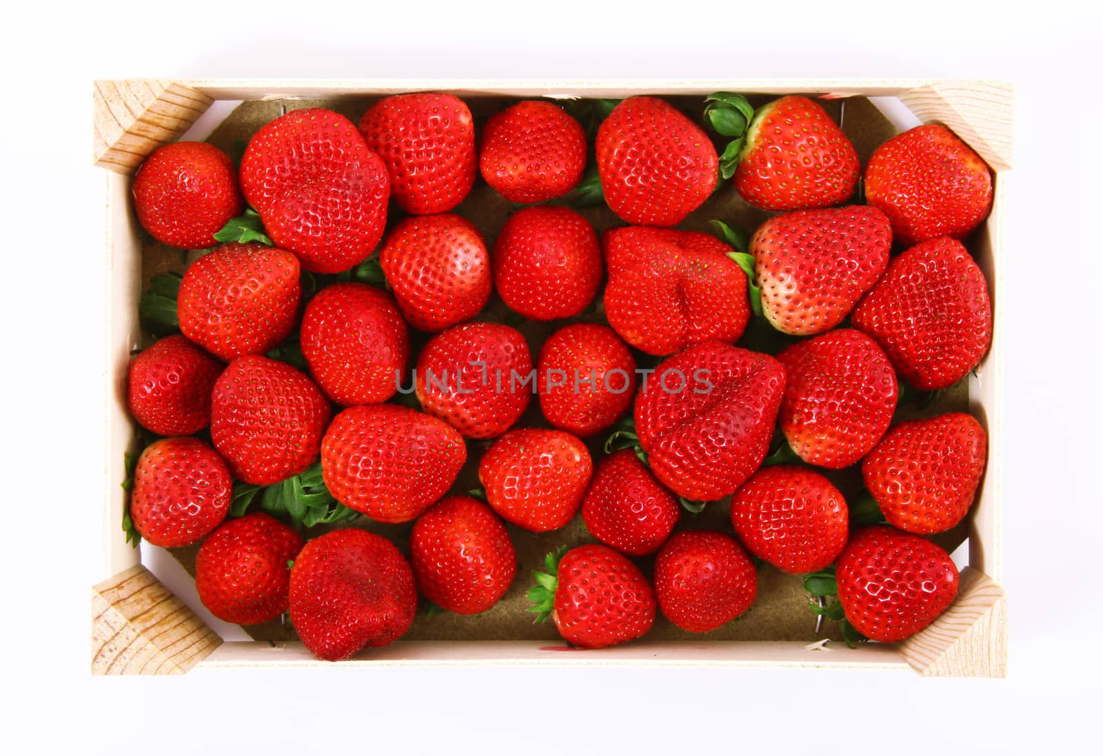 fresh strawberries on white background